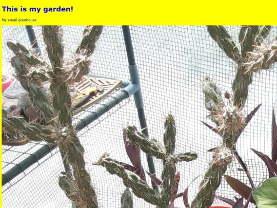 garden screenshot