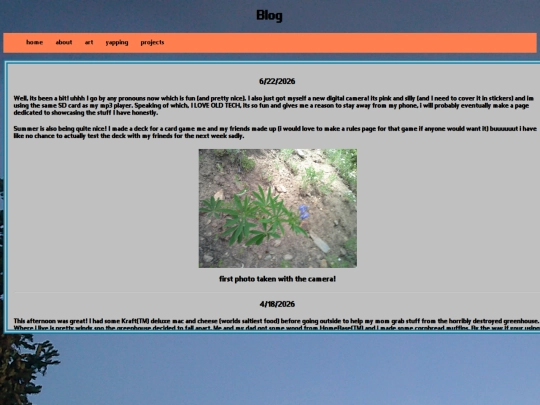 blog screenshot
