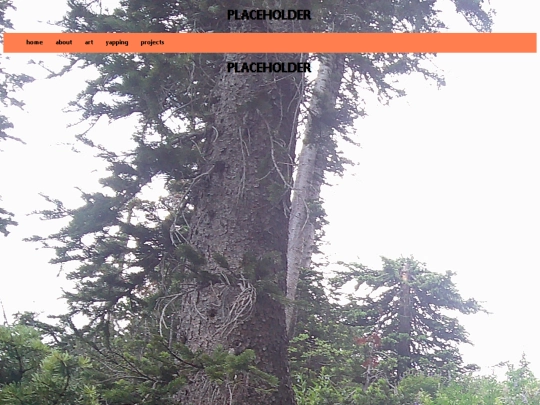 placeholder screenshot