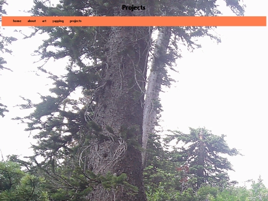 projects screenshot