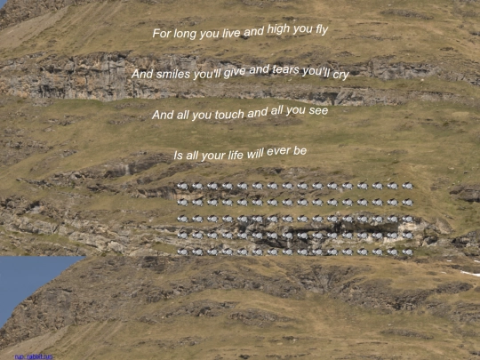 breatheintheair screenshot