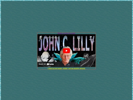 foreverdolphinhome screenshot