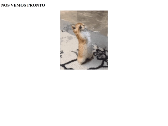 pag/pagina1 screenshot