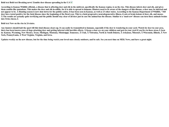 News Website/My news website screenshot