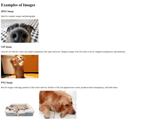 images example /images-example screenshot