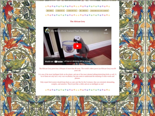 birdinfo/africangrey screenshot