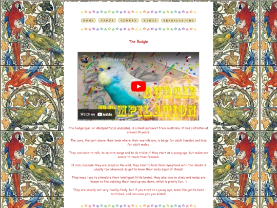 birdinfo/budgie screenshot