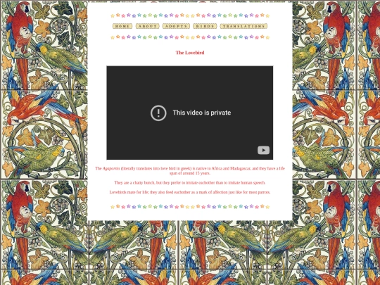 birdinfo/lovebird screenshot