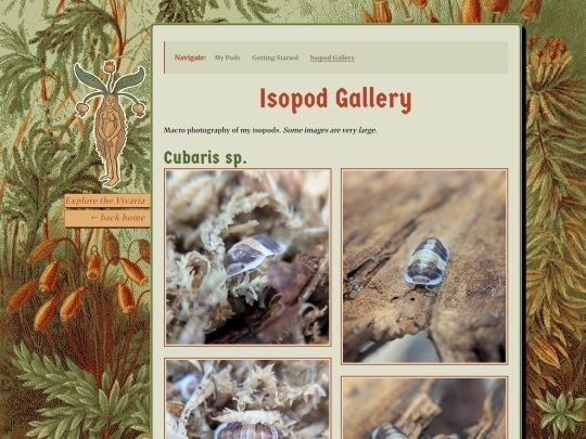 vivaria/isopods/gallery screenshot
