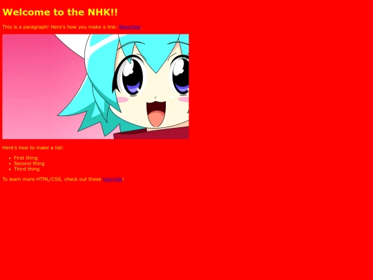 experiment/NHK screenshot