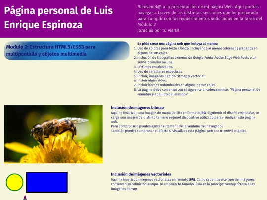 curso/mod02/ejercicios/obligatorio/luis screenshot