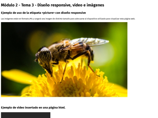 curso/mod02/ejercicios/tema03/opcional01/multimedia_responsive screenshot