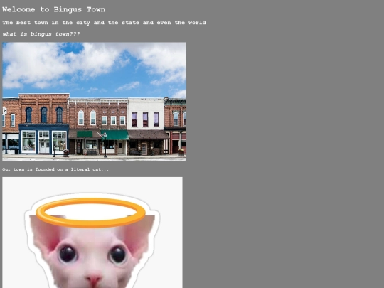 bingus-town screenshot