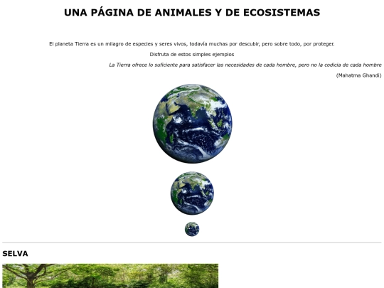 ejercicio5 screenshot