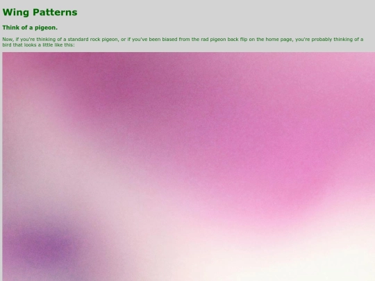 wingpatterns screenshot