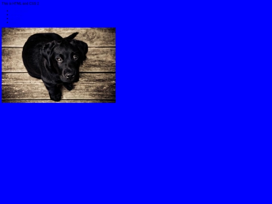 round2/html screenshot