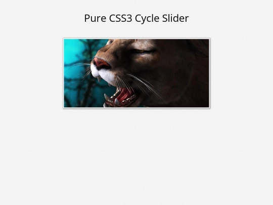 css3slider screenshot