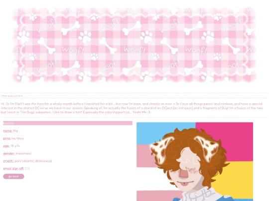 pip screenshot
