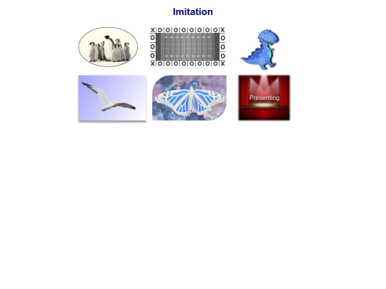 imitation screenshot