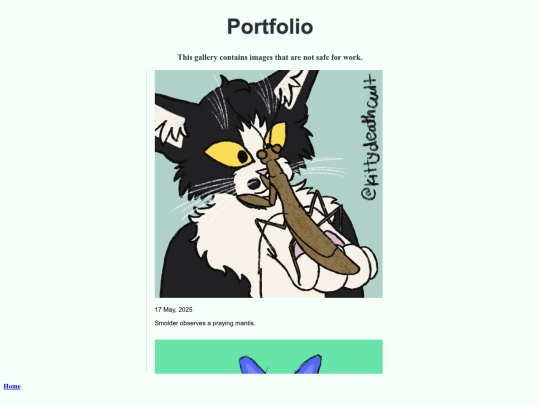 portfolio screenshot