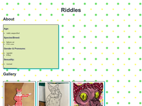 riddle screenshot