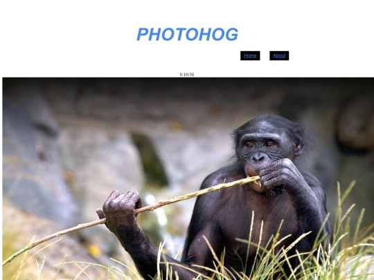 animal screenshot