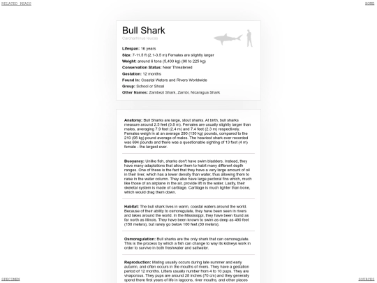 inside/species/bull shark/bullshark screenshot