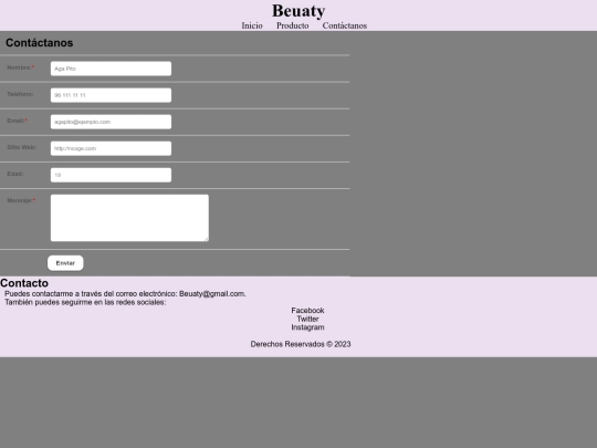 paginaweb/formulario screenshot