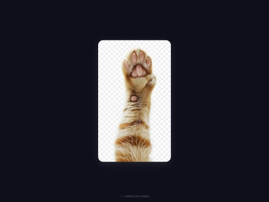 ввв/paws screenshot