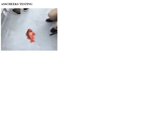 asscheekstesting screenshot