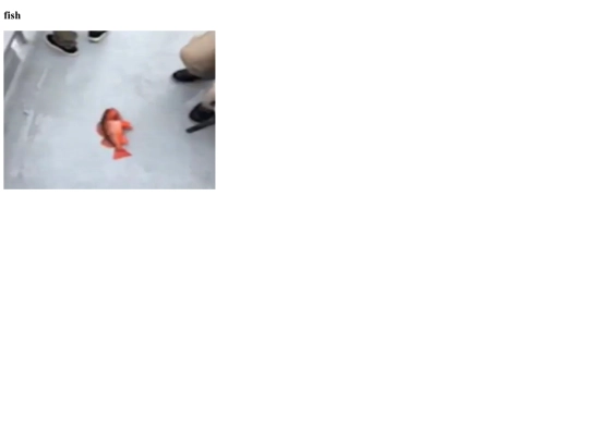 secret screenshot