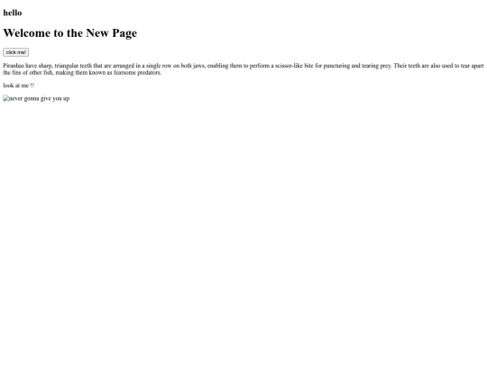 homepage screenshot