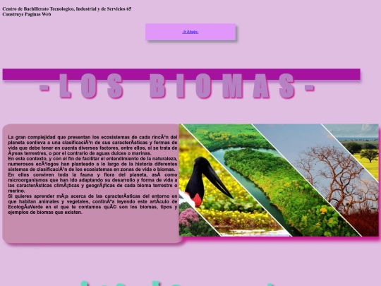 pagina3 screenshot