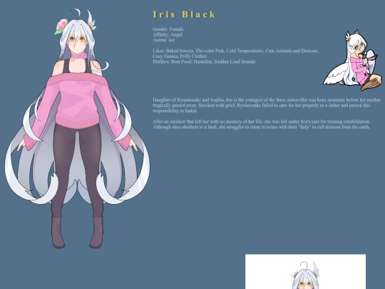 infoiris screenshot