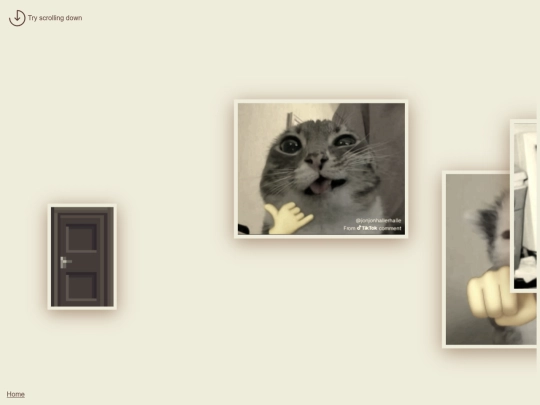 mememuseumpositive1 screenshot