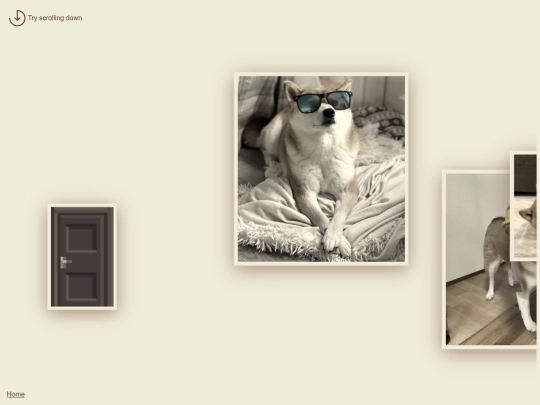 mememuseumshibaz1 screenshot
