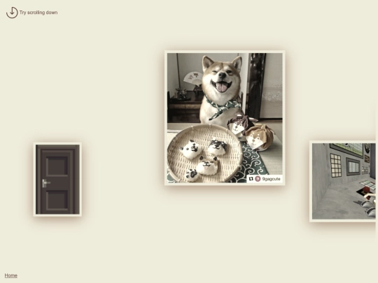 mememuseumshibaz4 screenshot