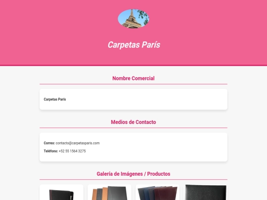 WebChatgpt/WebChatgpt/index/Carpetasparis3 screenshot