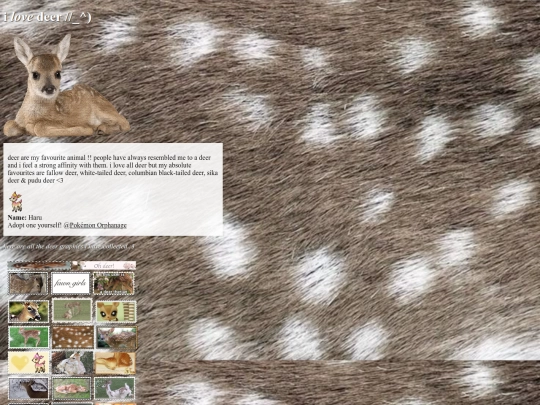 deer screenshot