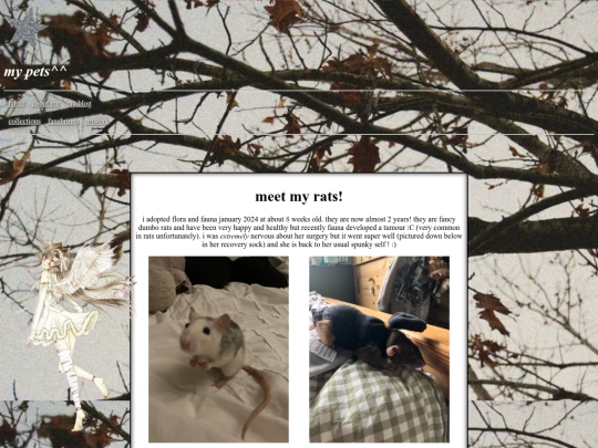 pets screenshot