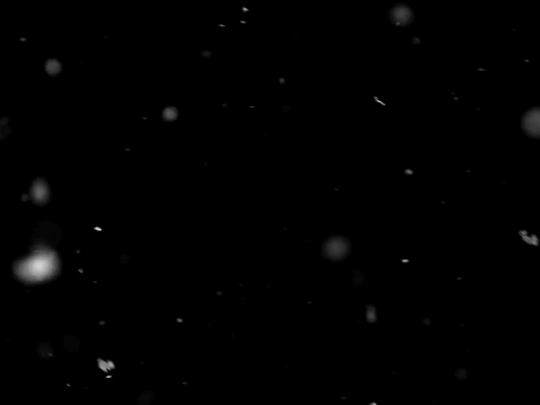 horse screenshot