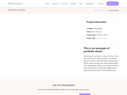 portfolio-details screenshot