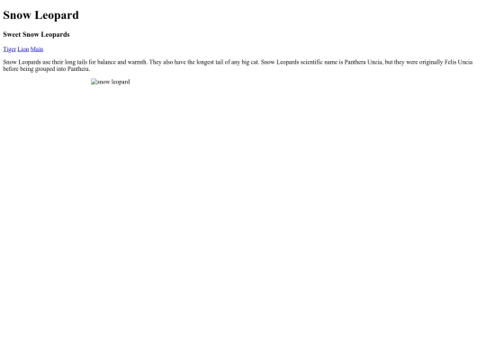 snow leopard screenshot