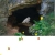 Bear's Site avatar