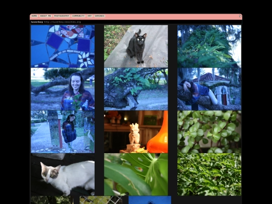 photography screenshot