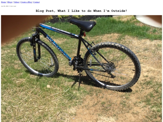blog screenshot