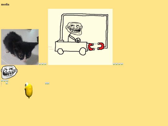 media screenshot