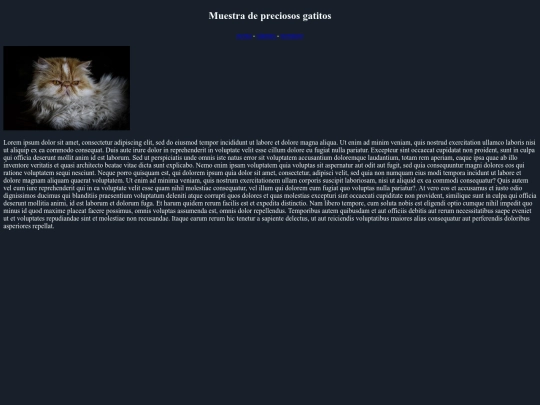 examen screenshot