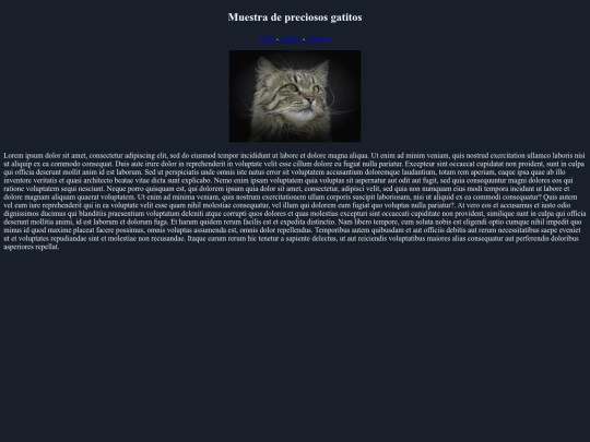 examen/noruego screenshot