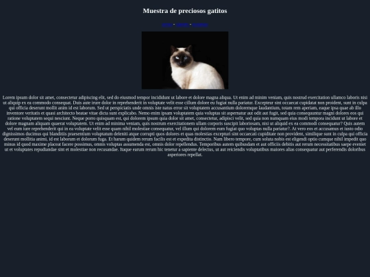 examen/siames screenshot